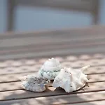 Luxury Thomas & Irini