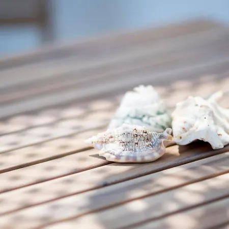 Luxury Thomas & Irini Lejlighed Kos By